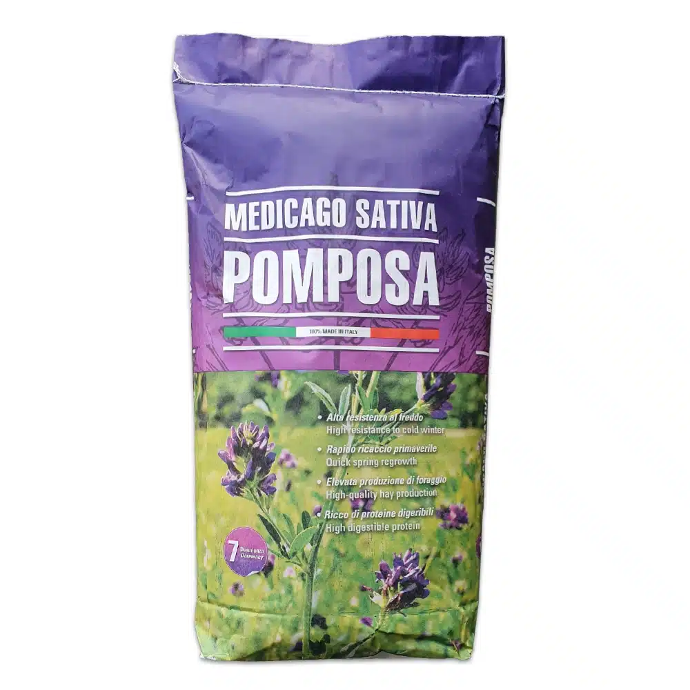 Seminte lucerna - Lucerna Pomposa - sac de 10 kg