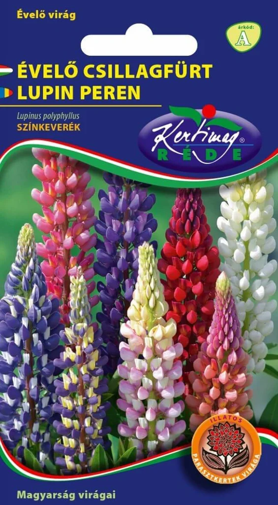 Seminte flori - Lupin peren amestec de culori / Lupinus polyphyllus
