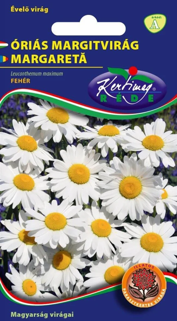 Seminte flori - Margaretă Alb- Kertimag