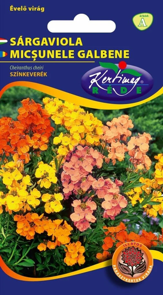 Seminte - Micsunele Parfumate – Inflorire Timpurie si Culori Vesele