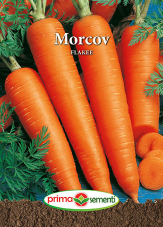 Seminte morcovi - Morcov Flakee 5g