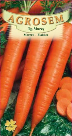 Seminte morcovi - Morcov - Flakkee 5g