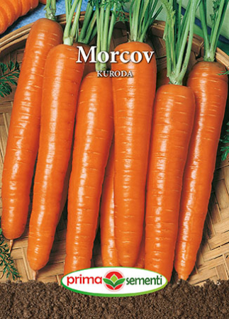 Seminte morcovi - Morcov Kuroda 5g