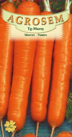 Seminte morcovi - Morcov - Nantes 5g