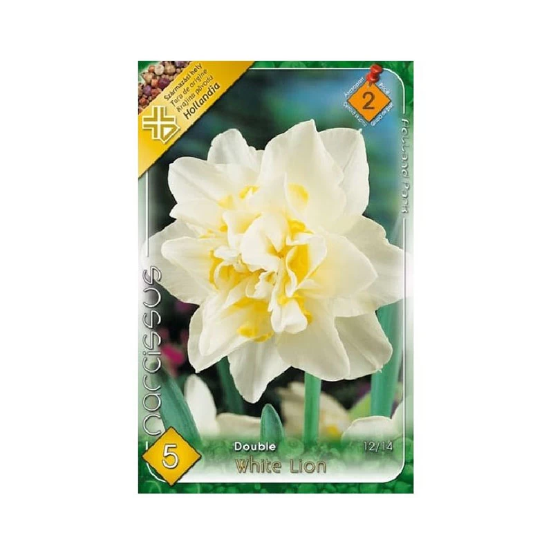 Narcise / Narcissus Double White Lion – 5 bulbi - [2]