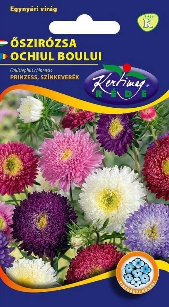 Seminte - Ochiul Boului Prinzess – Flori Clasice in Culori Variate