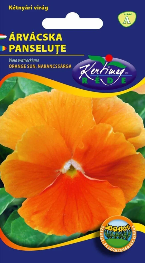 Seminte - Panselute Swiss Giants Portocaliu – Flori Mari, Impact Vizual Puternic