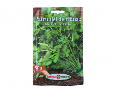 Verdeturi - Patrunjel de frunze Gigante D' Italia 50gr