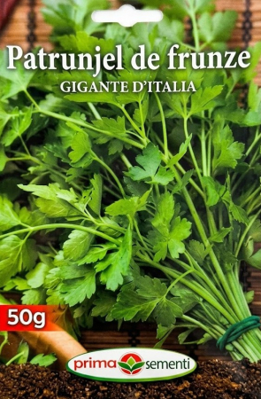 Verdeturi - Seminte Patrunjel de Frunze Gigante D'Italia 50g - Soi Aromatic Productiv