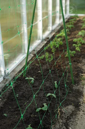 Plasa Sustinere Plante si Legume, 1.7 m x 100 m, Profesionala, pentru Castraveti si Fasole [1]