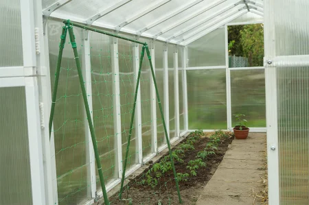 Plasa Sustinere Plante si Legume, 1.7 m x 100 m, Profesionala, pentru Castraveti si Fasole [3]