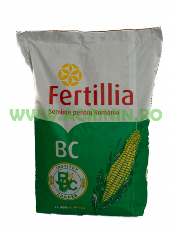 Seminte porumb - Porumb Bc Institut Jumbo BC 306 (25000 boabe - FAO 320)