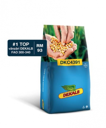 Seminte - Porumb Dekalb 4391 (80000 boabe - FAO 300-340)