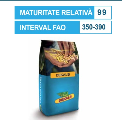 Seminte porumb - Porumb Dekalb 4943 (80000 boabe - FAO 350-390)