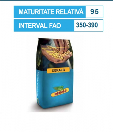 Seminte porumb - Porumb Dekalb 4541 (80000 boabe - FAO 360-390)