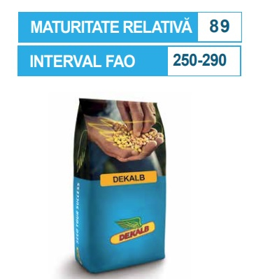 Seminte porumb - Porumb Dekalb 3969 (80000 boabe - FAO 250-290)