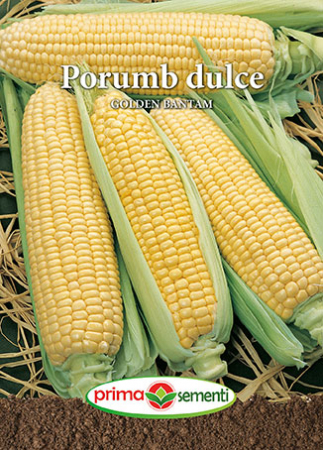 Semnte porumb zaharat - Porumb dulce Golden Bantam 10g