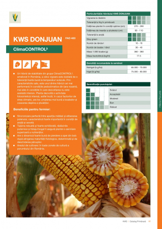 Seminte Porumb - Porumb Kws DONJUAN (50 000 boabe- FAO 400)