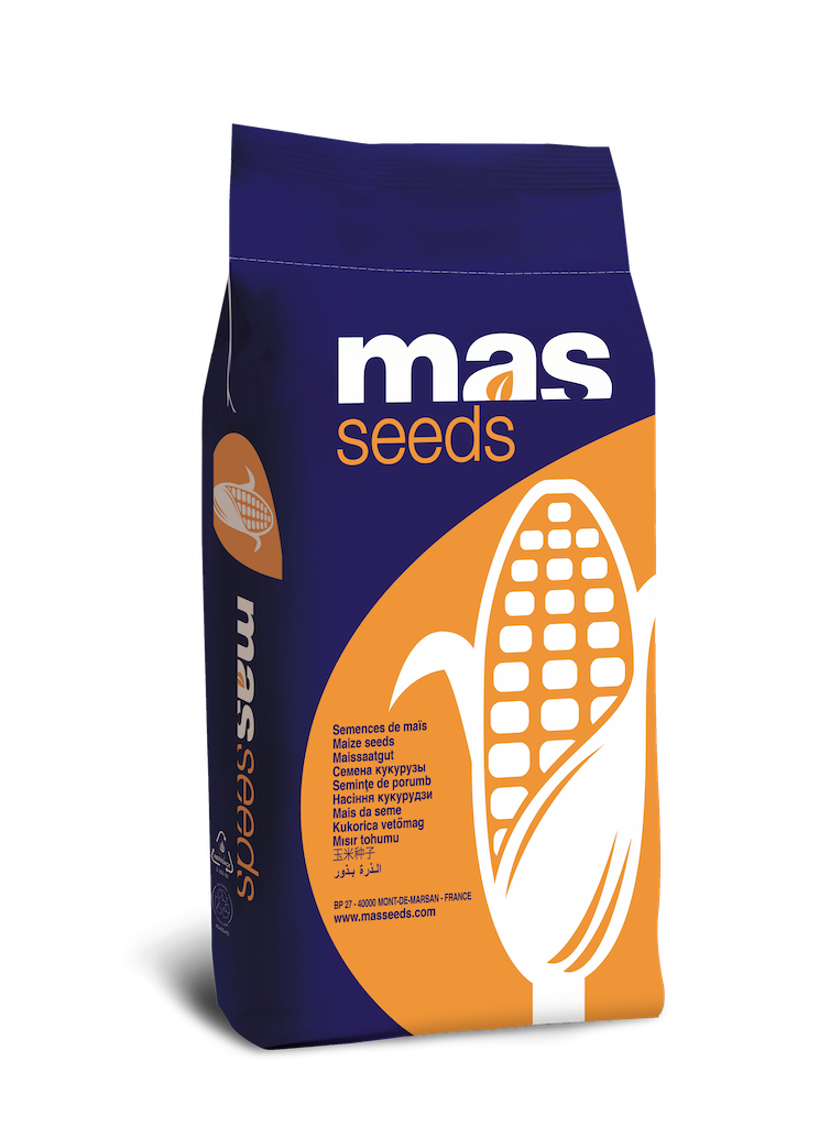 Seminte - Porumb Maisadour  377V (50 000- FAO 370)