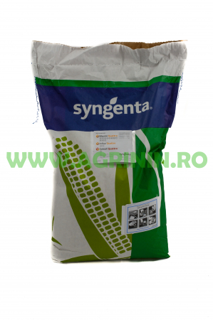 Seminte porumb - Porumb Syngenta Batanga (50000 boabe - FAO 340)