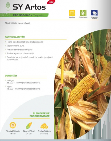 Seminte porumb - Porumb Syngenta Artos (50 000 boabe- FAO 320)