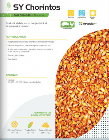 Seminte porumb - Porumb Syngenta Chorintos (50 000 boabe- FAO 300)