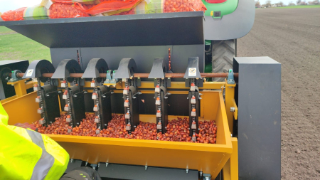 PRECOMANDA! Arpagic Bonus F1 10 kg – hibrid semitimpuriu, productiv si rezistent, calibru 16/21 mm [2]