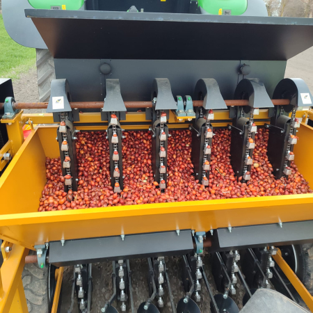 PRECOMANDA! Arpagic Medusa F1 10 kg – soi hibrid timpuriu, productiv și uniform, calibru 16/21 mm [2]