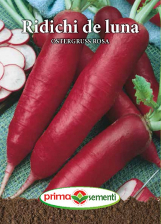 Seminte ridichi - Ridichi de luna Ostergruss Rosa