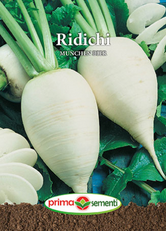 Seminte ridichi - Ridichi Munchen Bier