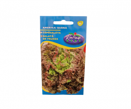 Seminte salata - Salată ”Brun American”