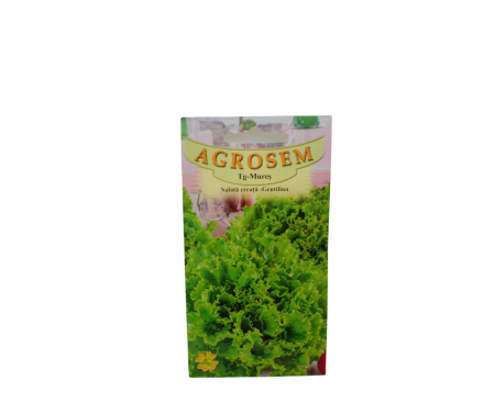 Seminte salata - Salată creață - Gentilina 1.5g