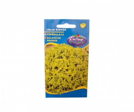 Seminte salata - Salată de frunze Lollo Bionda