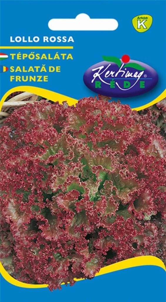 Seminte legume - Salată de frunze Lollo Rossa