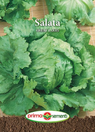 Seminte legume - Salata Great Lakes 3 g