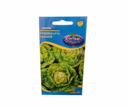 Seminte legume - Salată Lento