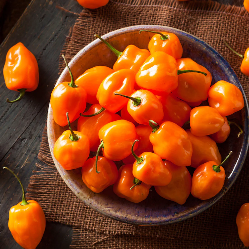 Seminte Ardei Chilli Habanero Portocaliu, Pachet 20 Seminte, Foarte Iute si Aromat, Kertimag [1]