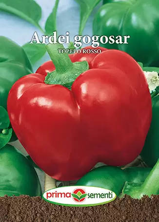 Seminte ardei - Seminte Ardei Gogosar Topepo Rosso 0.7g - Soi Timpuriu Carnos si Foarte Dulce
