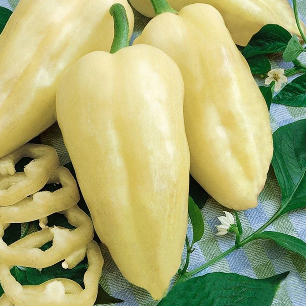 Seminte Ardei Gras Galben Amy 0,4g Kertimag - Ardei Productiv de Culoare Alb-Galbui [2]