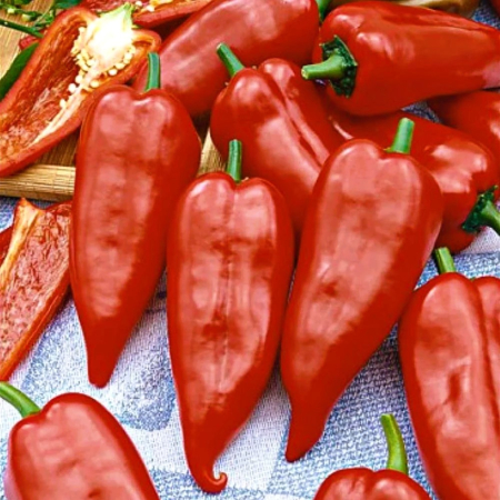 Seminte Ardei Kapia Kurtovszka Agrosem - Excelent pentru Copt si Conserve [1]