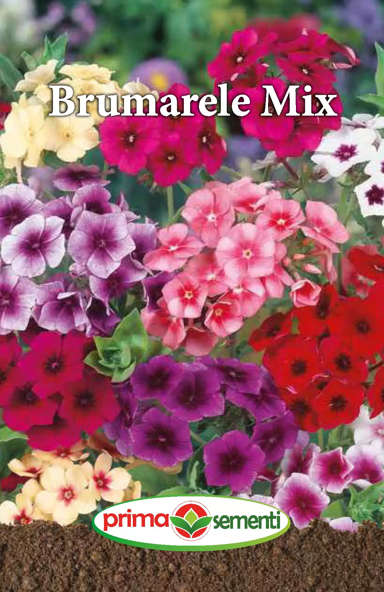 Seminte flori - Seminte Flori Anuale Brumarele Mix 0.5g - Flori Elegante pentru Gradina