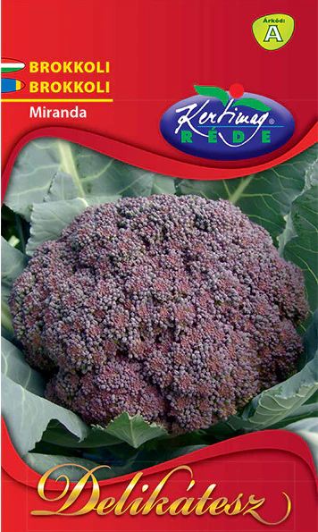 Seminte - Seminte Broccoli Miranda 2g Kertimag - Soi Violet deosebit si Productiv