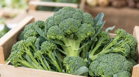 Seminte Brocoli Ramoso Calabrese 5g - Soi Traditional Italian Foarte Productiv si Bogat in Vitamine [2]