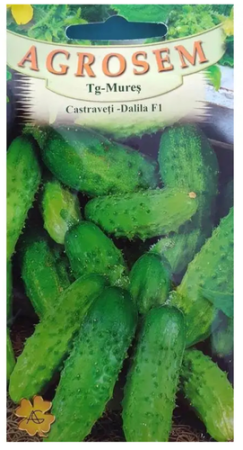 Seminte castraveti - Seminte Castraveti Dalila F1 1g Agrosem - Hibrid Cornison Rezistent si Productiv