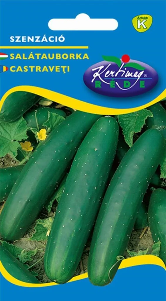 Seminte castraveti - Seminte Castraveti Sensation 2g Kertimag - Cornichon Productiv pentru Consum Proaspat si Muraturi