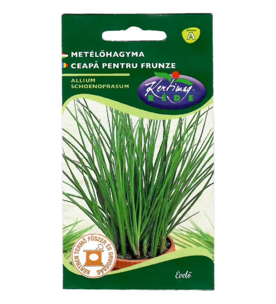 Seminte ceapa - Seminte Ceapa de Tuns Chives 1g Kertimag - Planta Aromatica Perena