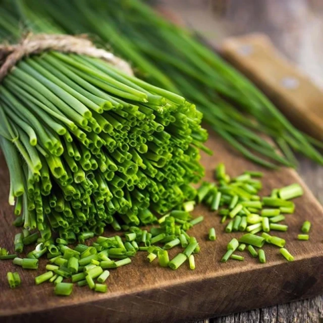 Seminte Ceapa de Tuns Chives 1g Kertimag - Planta Aromatica Perena [1]