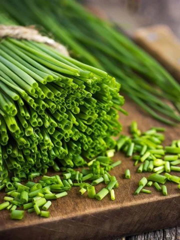 Seminte Ceapa de Tuns pe Disc, Pachet 2 Discuri, Ideala pentru Ghiveci, Kertimag [2]