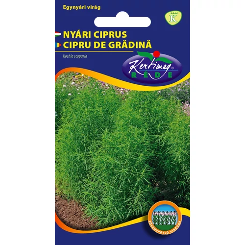 Seminte flori - Seminte Cipru de gradina 1g Kertimag - Planta Ornamentala cu Aspect de Conifer