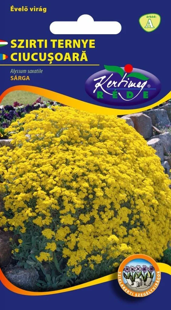 Seminte flori - Seminte Ciucusoara Alyssum saxatile 0.25g Kertimag - Flori Galbene de Stancarie